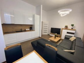 CLASSY TIMES - City Centre - Private Parking - Sunny apartment Poprad
